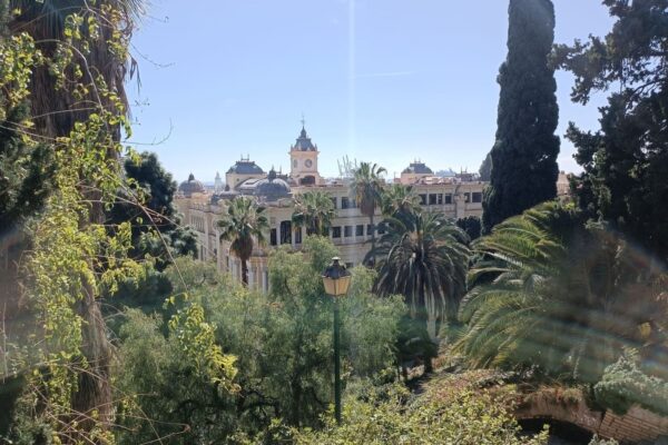 Pogled na šumovitu prirodu parka u Malagi (Parque de Málaga) i zgrade gradskog vijeća.