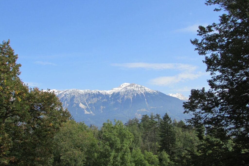 Pogled na planinu Triglav u Sloveniji sa snježnim vrhom uokviren drvećem.