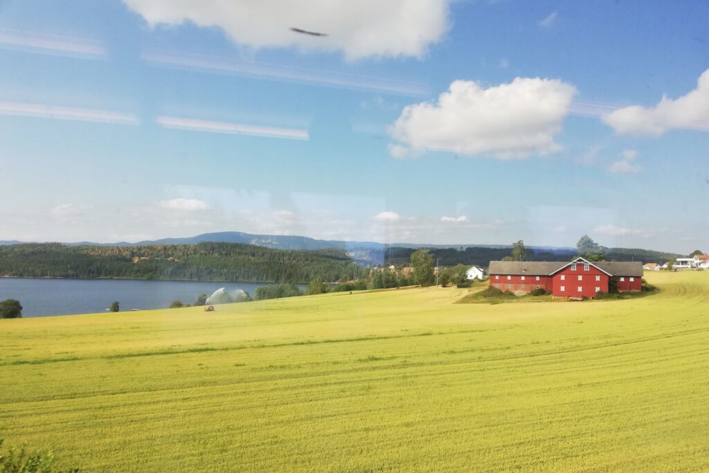 Crvena kuća usred žutog polja uljane repice u Norveškoj.