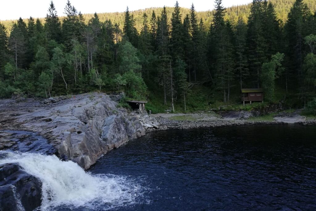 Slap pokraj borove šume u Norveškoj.