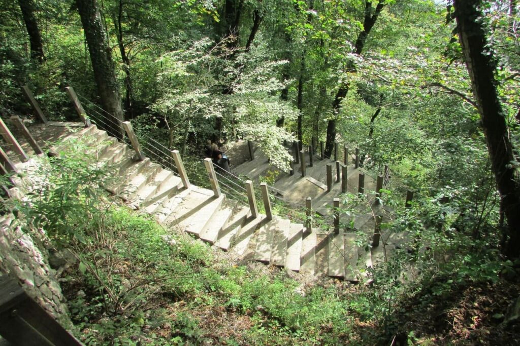 Drvene stepenice sa ogradom u šumi pokraj jezera Bled u Sloveniji.